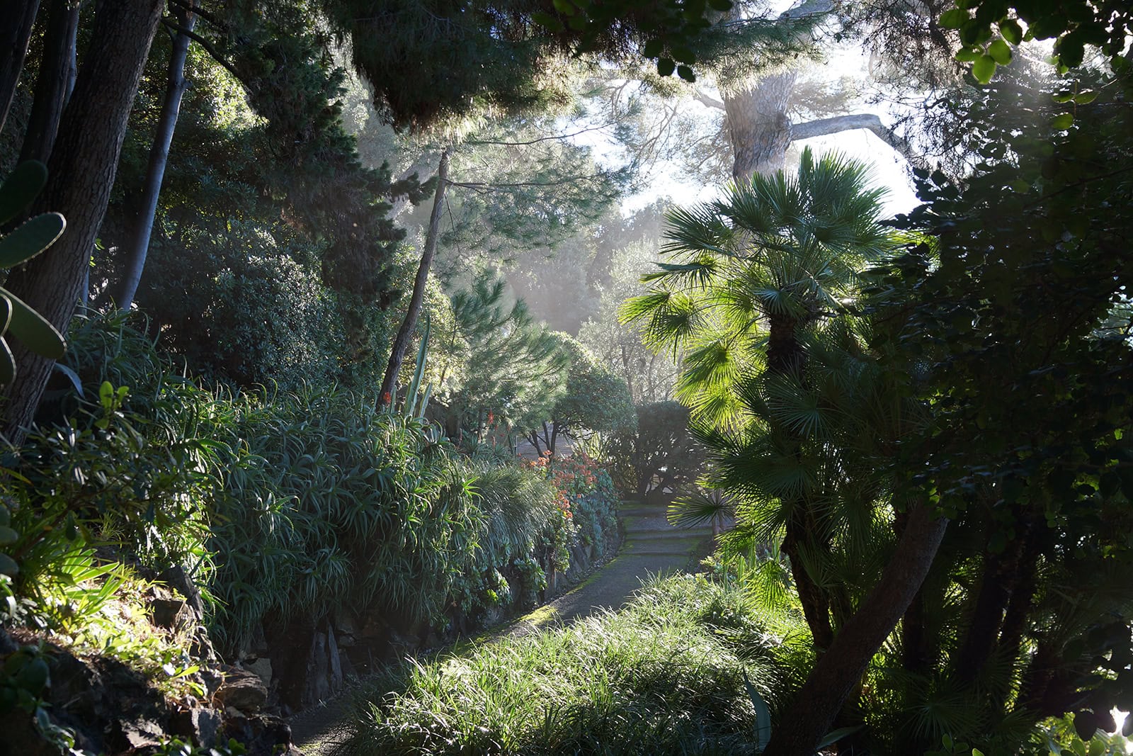 Bogliasco Garden