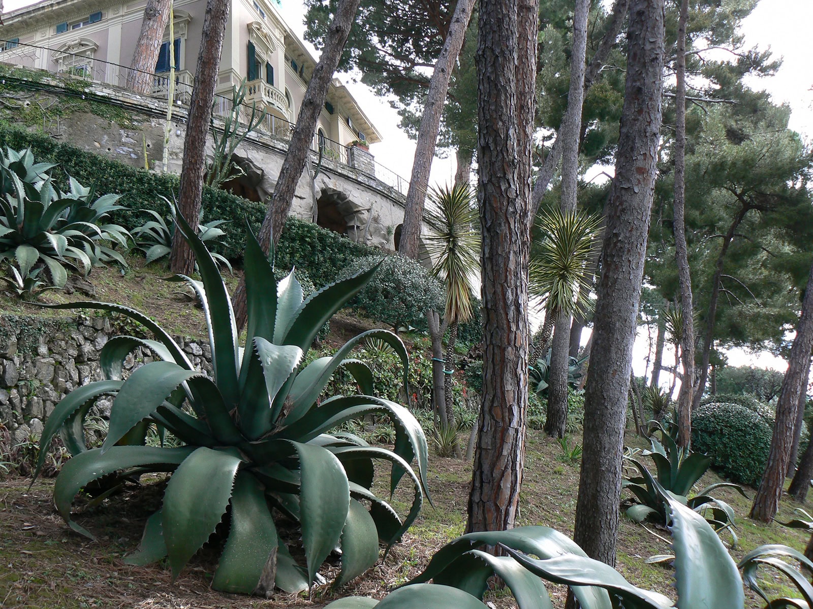 Bogliasco Garden