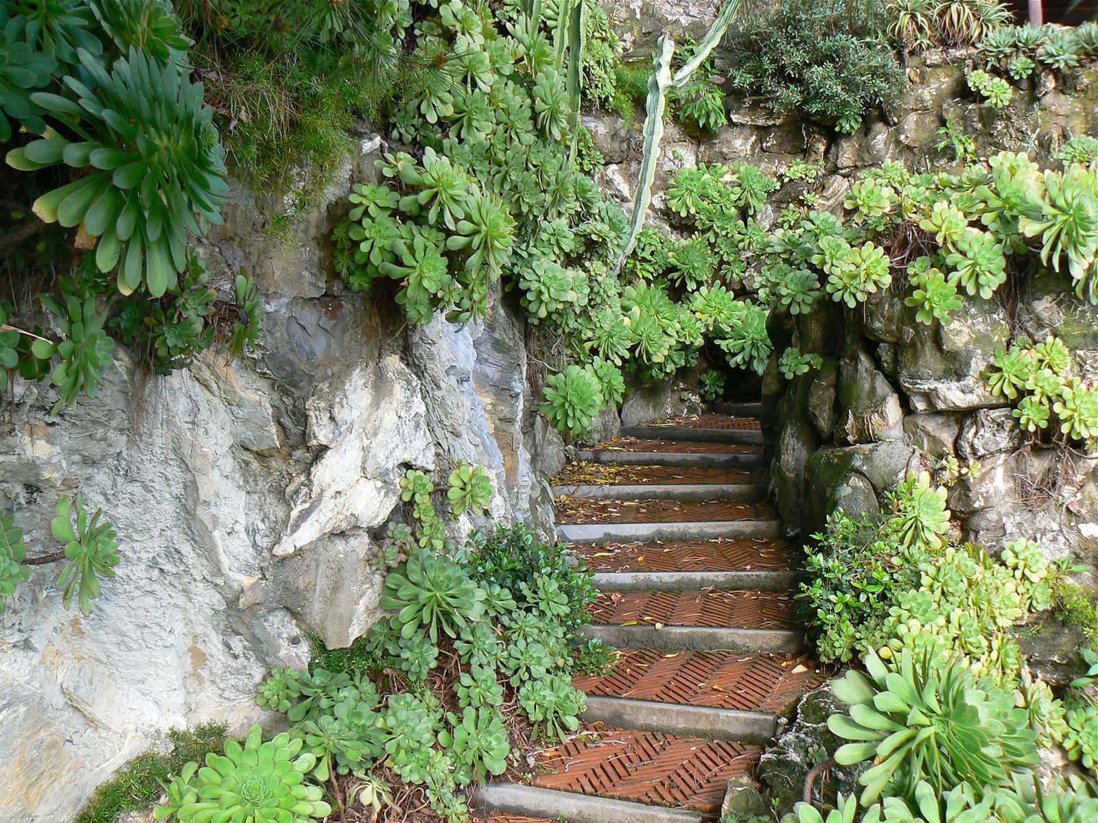 Bogliasco Garden